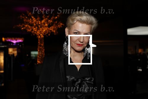 Amsterdam 12 december 2019
Luxury fair LXRY in de rai. Mariane Verkerk