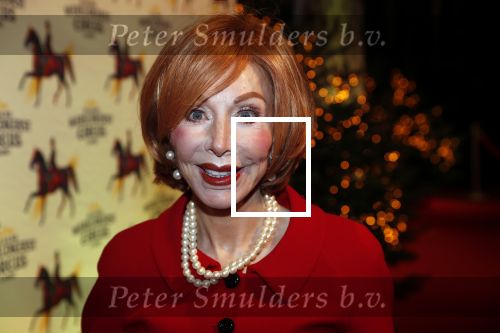 Amsterdam 19 december 2019
Premiere kerstcircus in Carre. Marijke Helwegen kwam met haar man