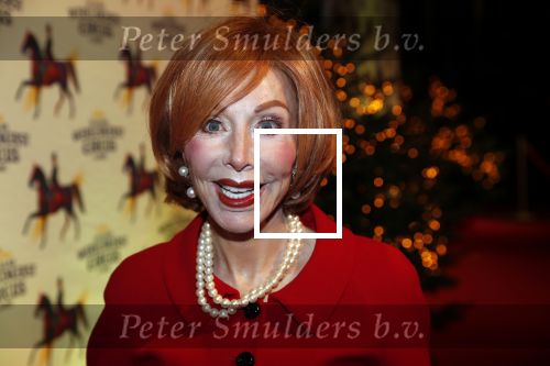 Amsterdam 19 december 2019
Premiere kerstcircus in Carre. Marijke Helwegen kwam met haar man