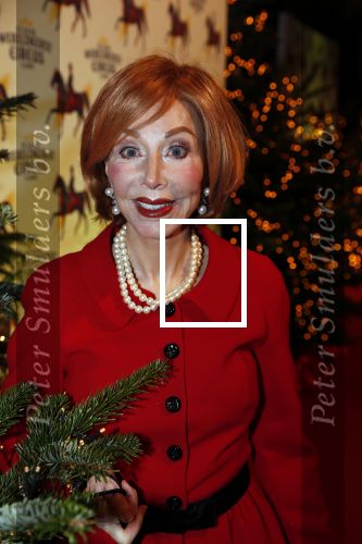 Amsterdam 19 december 2019
Premiere kerstcircus in Carre. Marijke Helwegen kwam met haar man