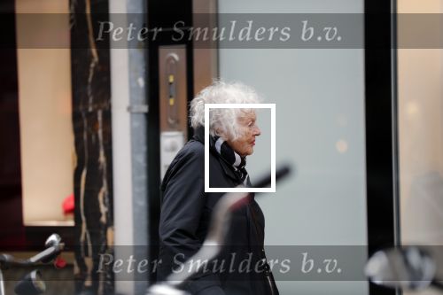 Amsterdam 21 december 2019
Marjan Berk op de pc hooftstraat.