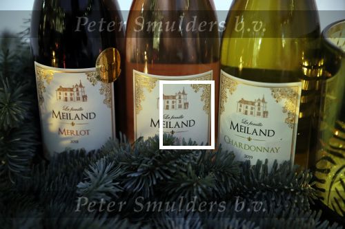 Noordwijk 13 decemnber 2019
Martien Meiland, moeder Erica, dochter Maxime, kleindochter Claire en dochter Montana tijdens de presentatie van de nieuwe wijncollectie van de familie Meiland. De bekende tv-familie brengt drie wijnen uit, onder de naam La Famille Meiland