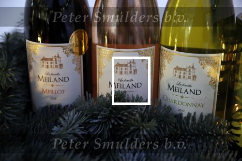 Noordwijk 13 decemnber 2019
Martien Meiland, moeder Erica, dochter Maxime, kleindochter Claire en dochter Montana tijdens de presentatie van de nieuwe wijncollectie van de familie Meiland. De bekende tv-familie brengt drie wijnen uit, onder de naam La Famille Meiland