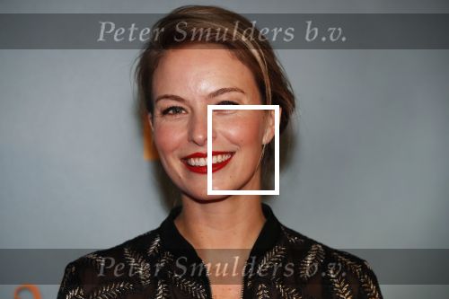 Amsterdam 9 december 2019
Premiere huisvrouwen bestaan niet deel II in tuschinski. Melissa Drost