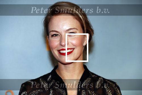 Amsterdam 9 december 2019
Premiere huisvrouwen bestaan niet deel II in tuschinski. Melissa Drost