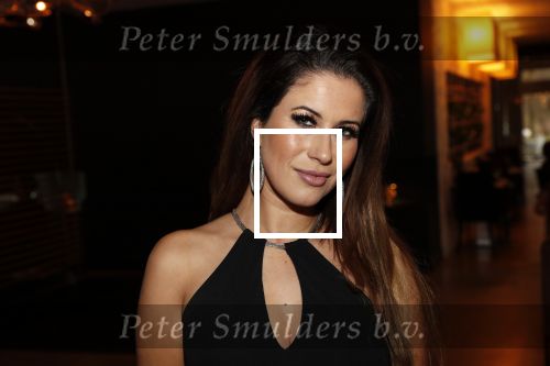 Den Haag 16 december 2019
De society lunch in hotel crown plaza . Melissa Sneekes