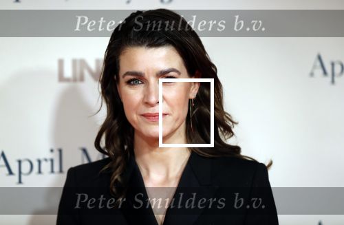 Amsterdam 16 december 2019
Premiere April may June in het deLamar theater met oa in de hoofdrollen Linda de Mol Elise Schaap en Tjitske Reidinga. Merel Westrik kwam met haar zus en een vriendin