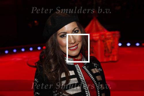 Amsterdam 19 december 2019
Premiere kerstcircus in Carre. Nathalie de Hoop Padberg