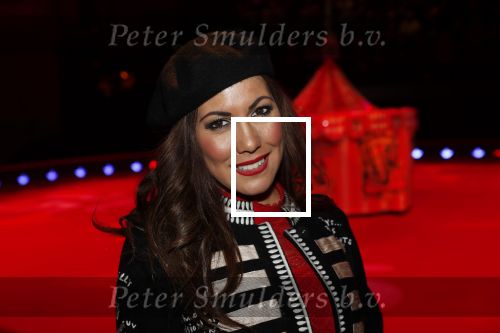 Amsterdam 19 december 2019
Premiere kerstcircus in Carre. Nathalie de Hoop Padberg
