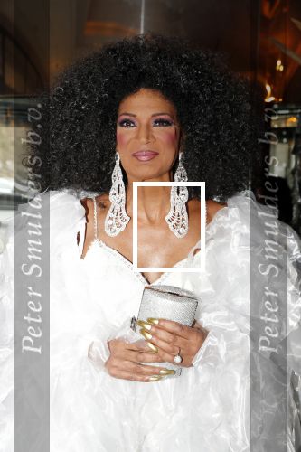 Den Haag 16 december 2019
De society lunch in hotel crown plaza . Nederlandse Diana Ross