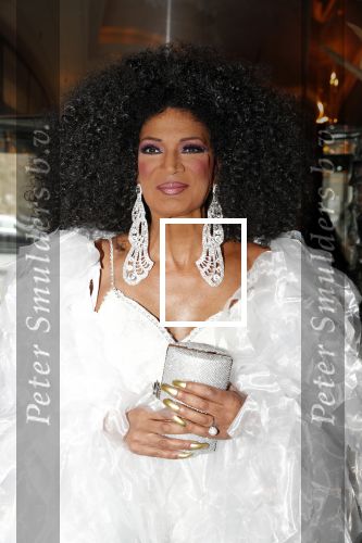 Den Haag 16 december 2019
De society lunch in hotel crown plaza . Nederlandse Diana Ross