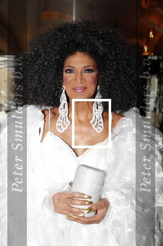 Den Haag 16 december 2019
De society lunch in hotel crown plaza . Nederlandse Diana Ross