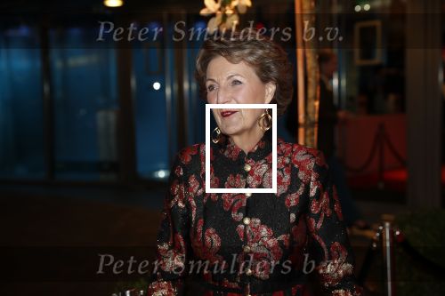 Amsterdam 18 december 2019
Sportman/ sportvrouw van het jaar gala in AFAS live ( Sportgala)
Prinses Margriet