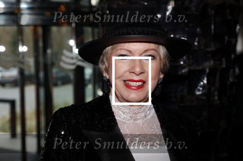 Den Haag 16 december 2019
De society lunch in hotel crown plaza . Ria Valk