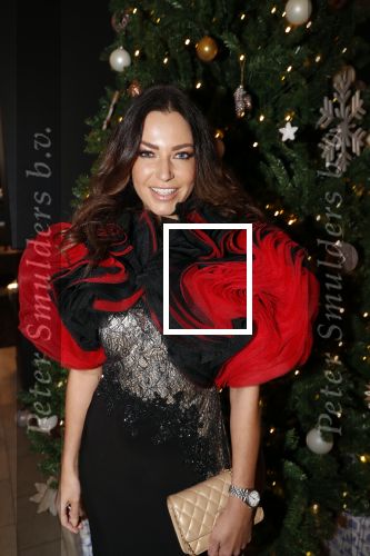 Den Haag 16 december 2019
De society lunch in hotel crown plaza . Rosanne Ramerman