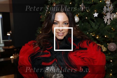 Den Haag 16 december 2019
De society lunch in hotel crown plaza . Rosanne Ramerman
