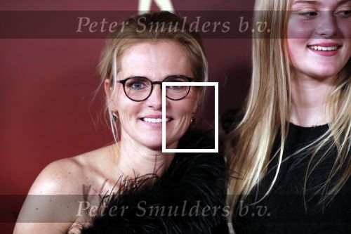 Amsterdam 18 december 2019
Sportman/ sportvrouw van het jaar gala in AFAS live ( Sportgala)
Sarina Wiegman met gezin