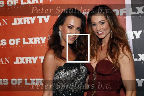 Amsterdam 12 december 2019
Luxury fair LXRY in de rai. Stella Agency