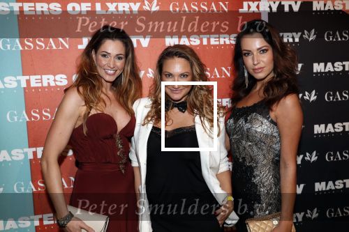 Amsterdam 12 december 2019
Luxury fair LXRY in de rai. Stella Agency