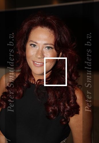 Den Haag 16 december 2019
De society lunch in hotel crown plaza . Sylvia Bruens