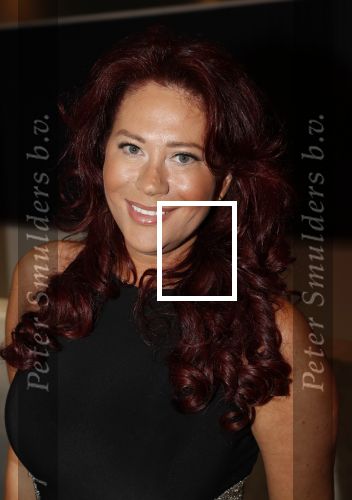 Den Haag 16 december 2019
De society lunch in hotel crown plaza . Sylvia Bruens