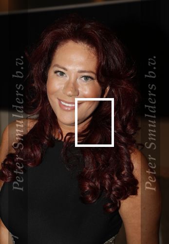 Den Haag 16 december 2019
De society lunch in hotel crown plaza . Sylvia Bruens