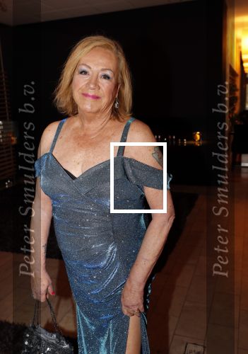 Den Haag 16 december 2019
De society lunch in hotel crown plaza . Viola Holt met Frank Jansen
