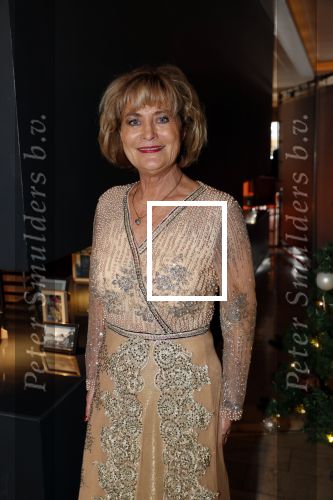 Den Haag 16 december 2019
De society lunch in hotel crown plaza . Vivian Boelen