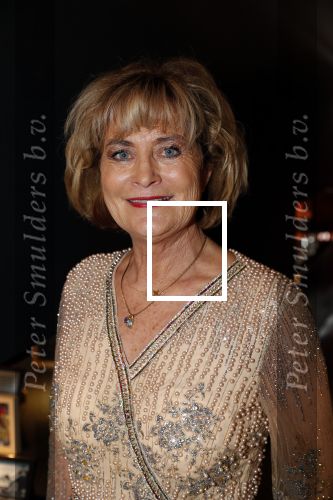 Den Haag 16 december 2019
De society lunch in hotel crown plaza . Vivian Boelen