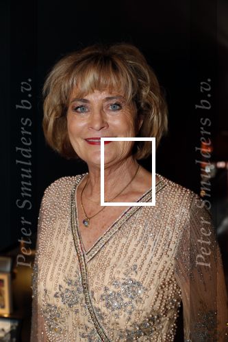 Den Haag 16 december 2019
De society lunch in hotel crown plaza . Vivian Boelen