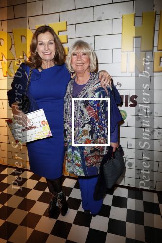 Amsterdam 9 december 2019
Premiere Jon v Eerd in de Meervaart. Willeke Alberti