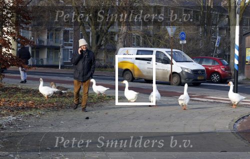 Amsterdam 22 december 2021
]
