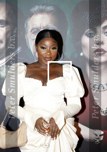 Amsterdam 23 november 2021
Premiere House of Gucci in pathe arena.