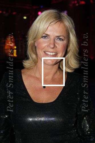 Hilversum 24 januari 2011
Uitreiking van de beeld en geluid awards op het mediapark. Irene Moors
Peter Smulders bv