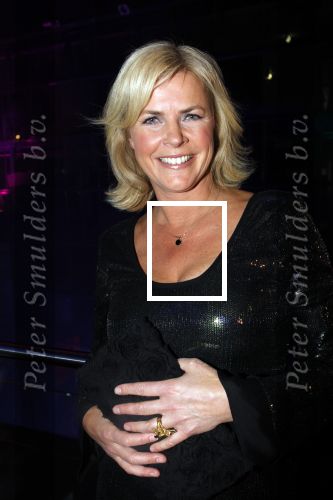 Hilversum 24 januari 2011
Uitreiking van de beeld en geluid awards op het mediapark. Irene Moors
Peter Smulders bv