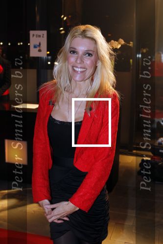 Hilversum 24 januari 2011
Uitreiking van de beeld en geluid awards op het mediapark. Judith Osborn
Peter Smulders bv