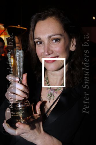 Hilversum 24 januari 2011
Uitreiking van de beeld en geluid awards op het mediapark. Monic Hendrickx
Peter Smulders bv