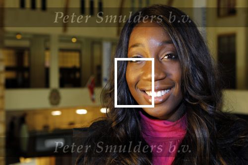 Amsterdam 25 januari 2011
Cast Legalyy Blonde opent amsterdamse effectenbeurs. Aanwezig Pearl Jozefzoon, Albert Verlinde Laura Vlasblom Kim Lian v d Meij Joey Schalker Roy v Iersel en medewerkers van de beurs.
Peter Smulders bv