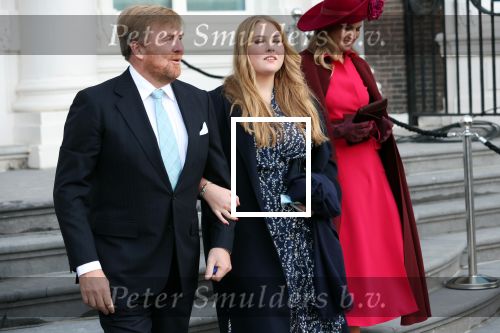 Den Haag 8 december 2021
Prinses Amalia arriveert voor de buitengewone vergadering van de Raad van State. Naast de prinses waren ook koning Willem Alexander en koningin Maxima bij de buitengewone vergadering aanwezig.
Na de vergadering ging Amalia in de tuin een boom planten.