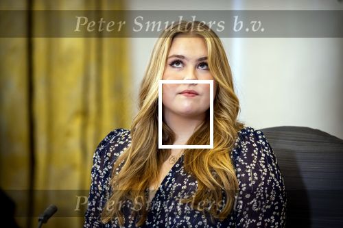Den Haag 8 december 2021
Prinses Amalia arriveert voor de buitengewone vergadering van de Raad van State. Naast de prinses waren ook koning Willem Alexander en koningin Maxima bij de buitengewone vergadering aanwezig.
Na de vergadering ging Amalia in de tuin een boom planten.