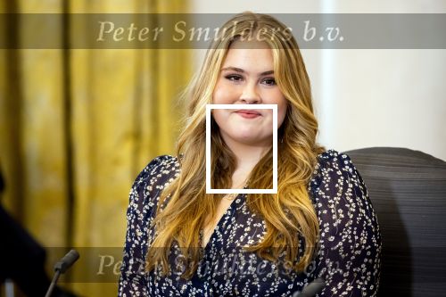 Den Haag 8 december 2021
Prinses Amalia arriveert voor de buitengewone vergadering van de Raad van State. Naast de prinses waren ook koning Willem Alexander en koningin Maxima bij de buitengewone vergadering aanwezig.
Na de vergadering ging Amalia in de tuin een boom planten.