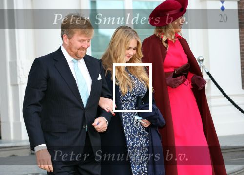 Den Haag 8 december 2021
Prinses Amalia arriveert voor de buitengewone vergadering van de Raad van State. Naast de prinses waren ook koning Willem Alexander en koningin Maxima bij de buitengewone vergadering aanwezig.
Na de vergadering ging Amalia in de tuin een boom planten.