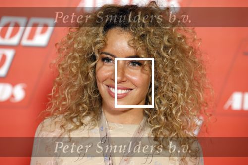 Hilversum 10 januari 2022
Q music awards in studio 21 op het mediapark in Hilversum. Sigourney Korper (Sigourney K)