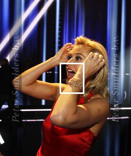 Ede 21 januari 2011
Finale van TVOH The voice of Holland in Ede gepresenteerd door Wendy v Dijk en Martijn Krabbe. Ben Saunders wint uiteindelijk. Wendy werd om 12 uur 40 en Erland Galjaard en Sem v Dijk waren erbij
Peter Smulders bv