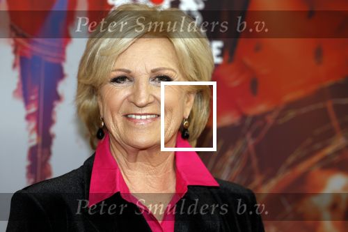 Rotterdam 5 januari 2023
25 jaar vrienden van Amstel Live in ahoy.
Anita Meyer