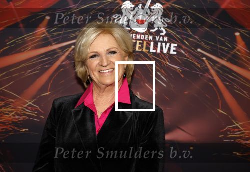 Rotterdam 5 januari 2023
25 jaar vrienden van Amstel Live in ahoy.
Anita Meyer