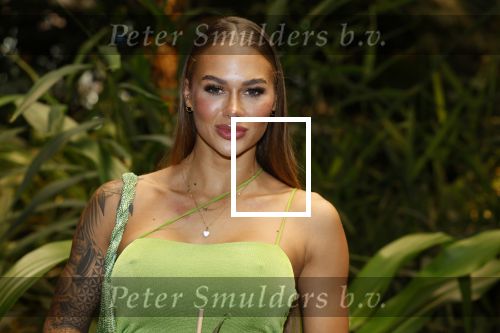 Amsterdam 6 januari 2023
Echte Meisjes In De Jungle 2023,  
Presentatie was in hotel Jakarta.
Annebel Visscher