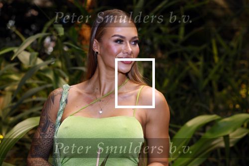 Amsterdam 6 januari 2023
Echte Meisjes In De Jungle 2023,  
Presentatie was in hotel Jakarta.
Annebel Visscher