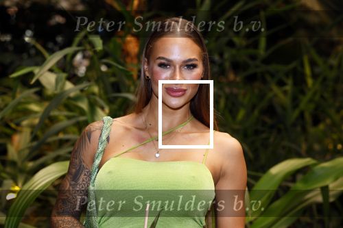 Amsterdam 6 januari 2023
Echte Meisjes In De Jungle 2023,  
Presentatie was in hotel Jakarta.
Annebel Visscher