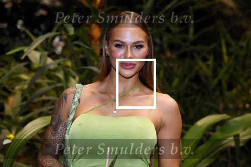 Amsterdam 6 januari 2023
Echte Meisjes In De Jungle 2023,  
Presentatie was in hotel Jakarta.
Annebel Visscher